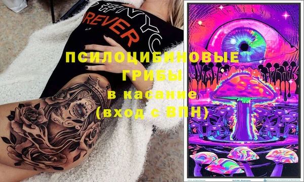2c-b Аркадак