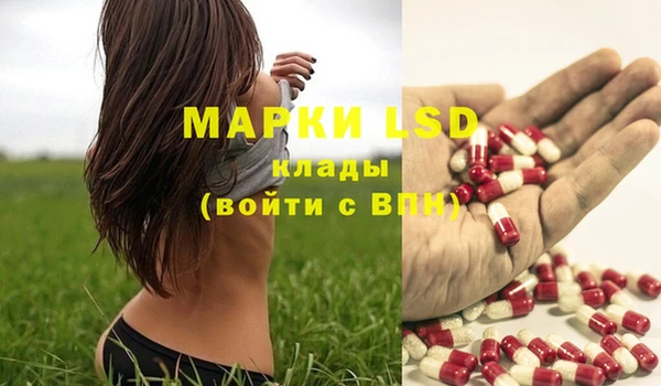 spice Михайловка