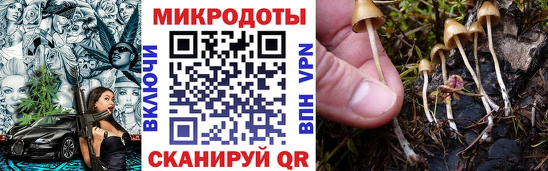 наркошоп  Адыгейск  Псилоцибиновые грибы Psilocybe 
